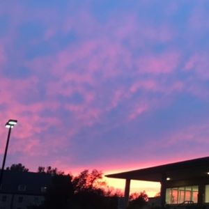 Meet your Posher, Jada